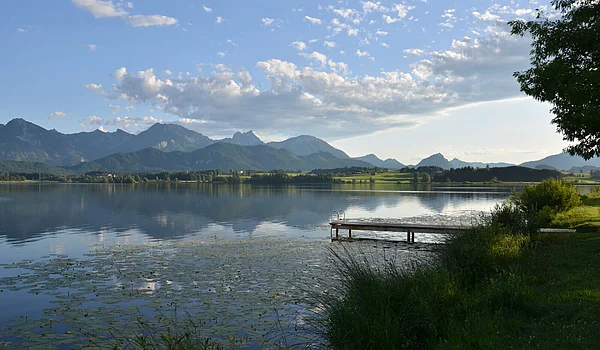 Panoramablick über den Hopfensee