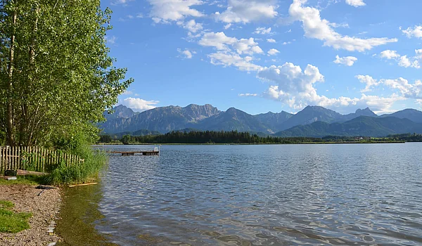 Blick Richtung Ammergerbirge - im Vordergrund der Hopfensee